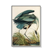 Majestic Heron Wall Art