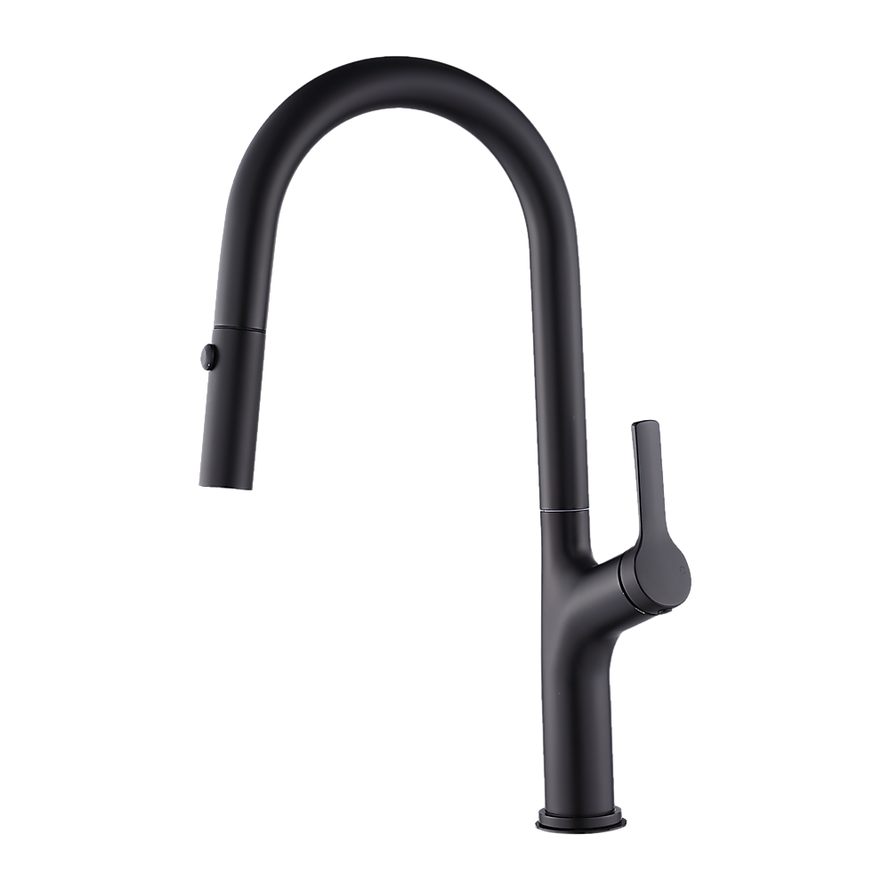 Black Pulse Kitchen Spout