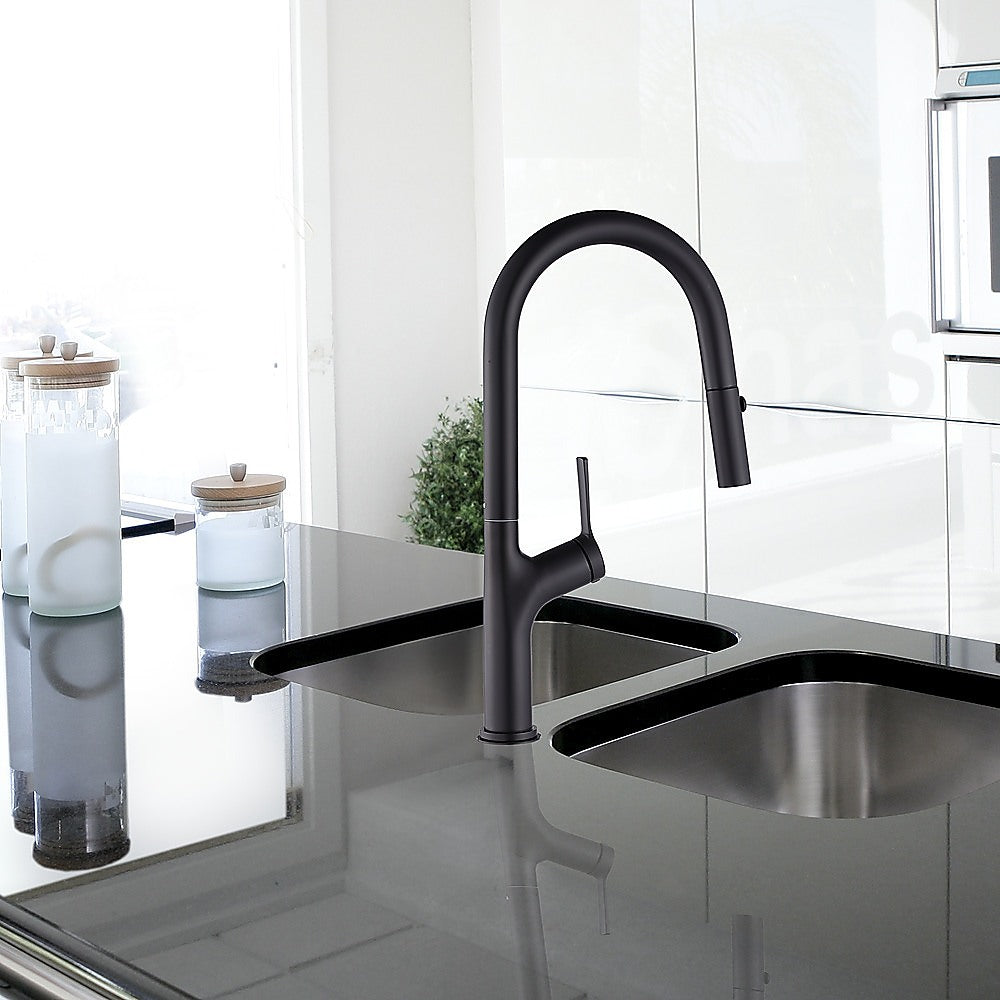 Black Pulse Kitchen Spout