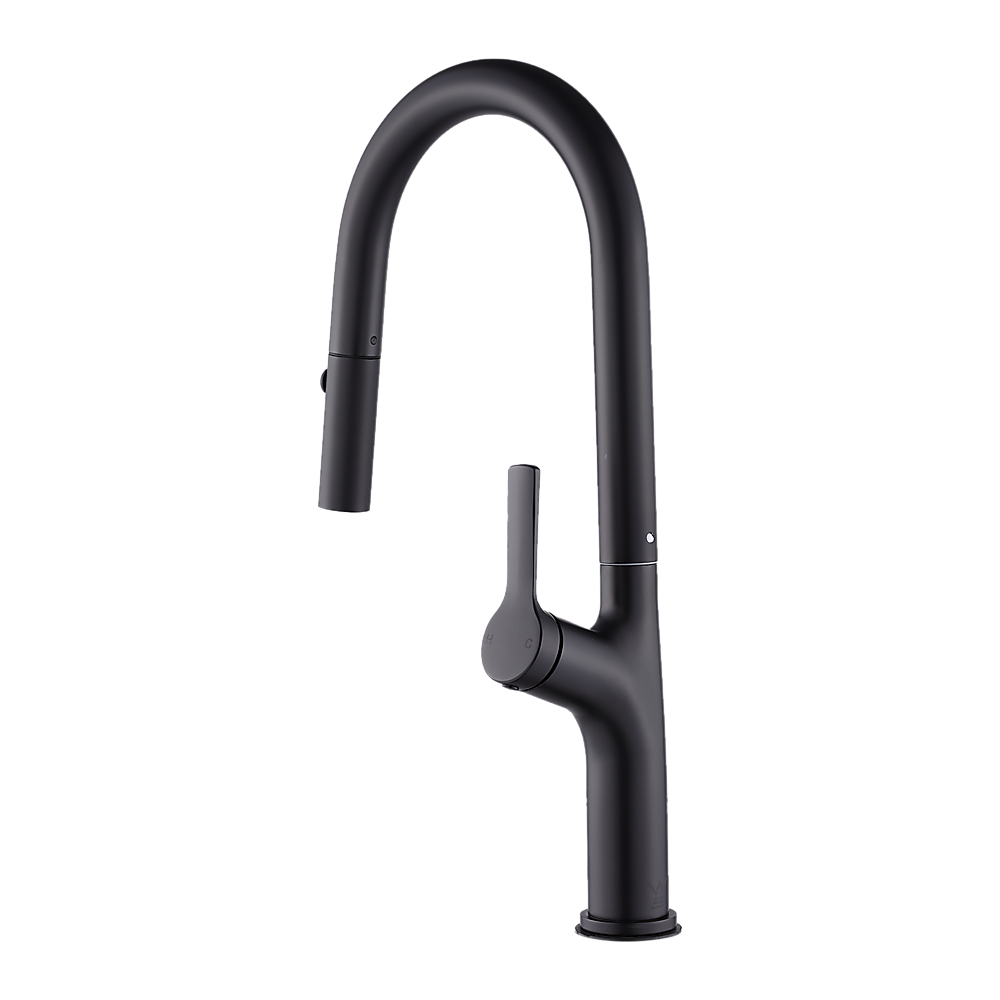 Black Pulse Kitchen Spout