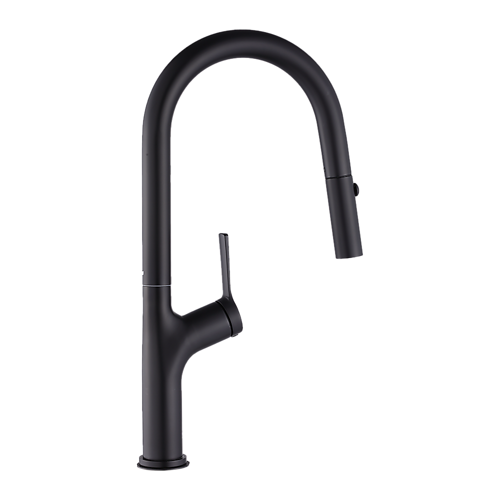 Black Pulse Kitchen Spout