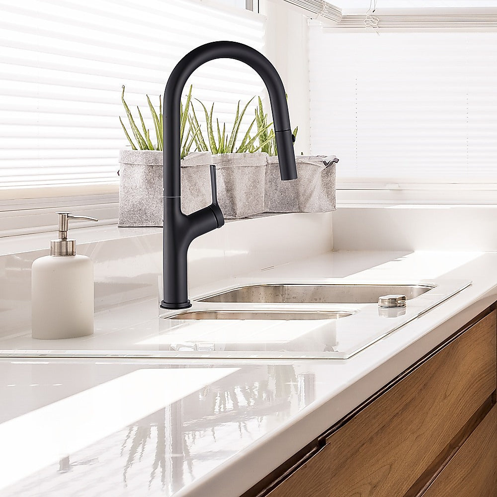 Black Pulse Kitchen Spout